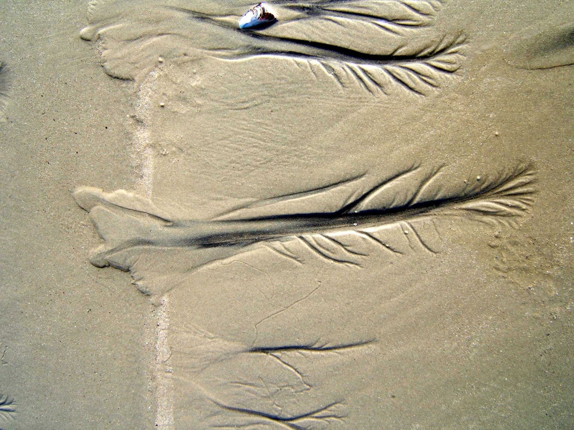 1. 07 Temporary topographical patterns. F Ellis-min