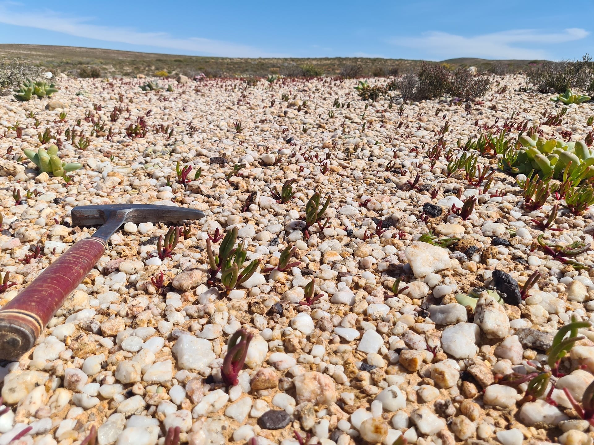 Desert Pavement (C Clarke)-min